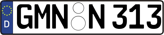 GMN-N313