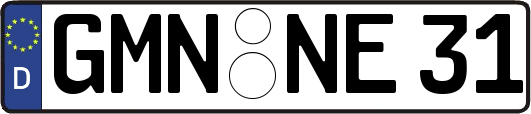 GMN-NE31