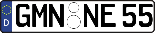 GMN-NE55