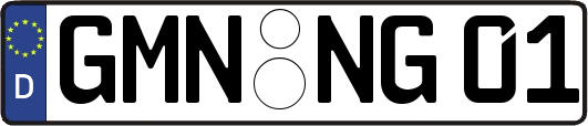 GMN-NG01