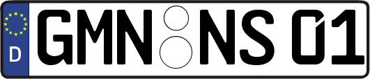 GMN-NS01