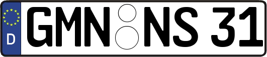 GMN-NS31
