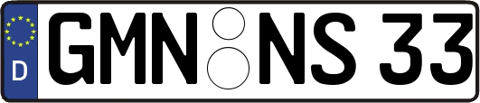 GMN-NS33