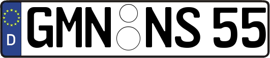 GMN-NS55