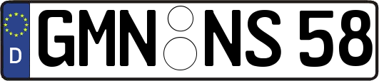 GMN-NS58