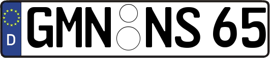 GMN-NS65