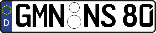 GMN-NS80