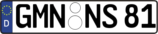 GMN-NS81