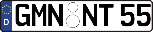 GMN-NT55