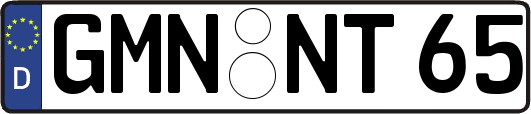 GMN-NT65