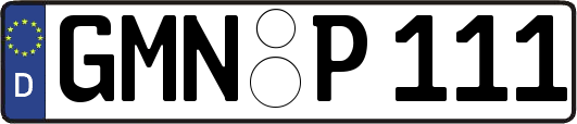 GMN-P111