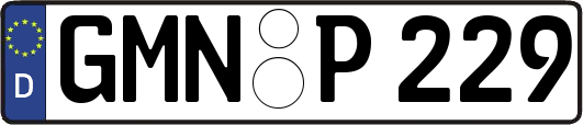 GMN-P229