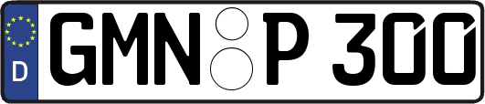 GMN-P300