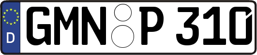 GMN-P310