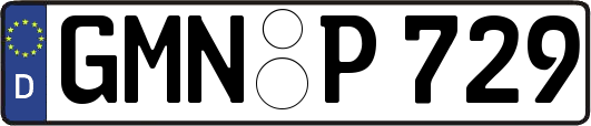 GMN-P729