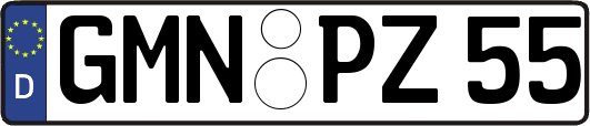 GMN-PZ55