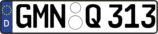 GMN-Q313