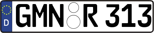 GMN-R313