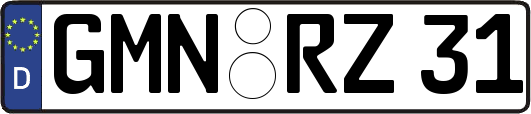 GMN-RZ31