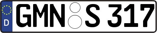 GMN-S317