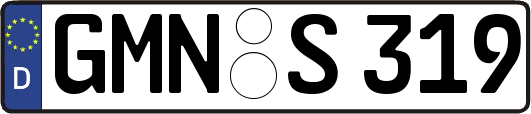 GMN-S319