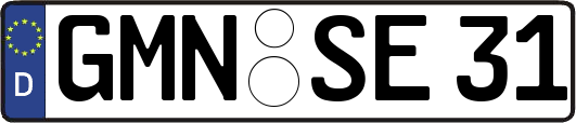 GMN-SE31