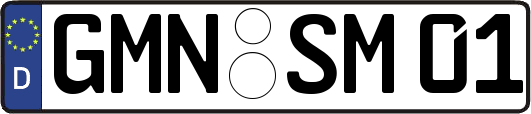 GMN-SM01
