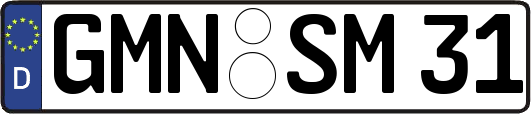 GMN-SM31
