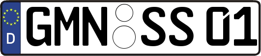 GMN-SS01