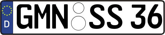 GMN-SS36