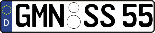 GMN-SS55