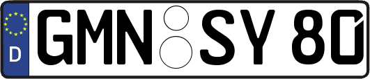 GMN-SY80
