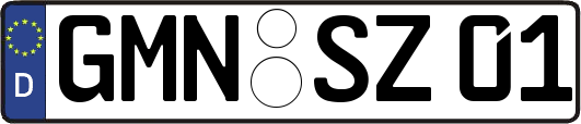 GMN-SZ01