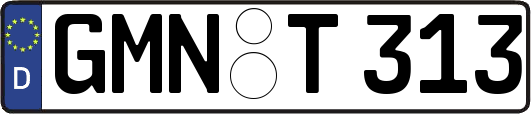 GMN-T313
