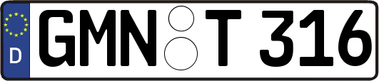 GMN-T316