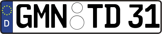 GMN-TD31