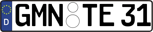 GMN-TE31