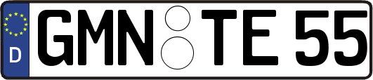 GMN-TE55