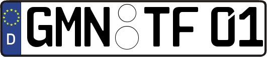 GMN-TF01