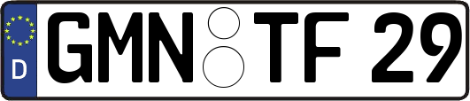 GMN-TF29