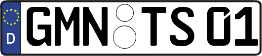 GMN-TS01