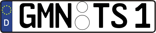 GMN-TS1