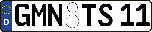 GMN-TS11