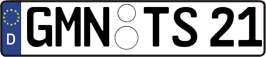 GMN-TS21