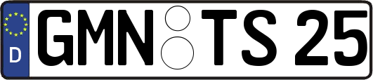 GMN-TS25