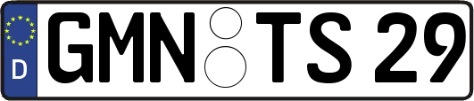 GMN-TS29