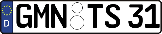 GMN-TS31
