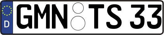 GMN-TS33