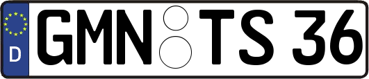 GMN-TS36