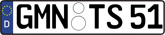 GMN-TS51